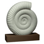 Spiral | An Ammonite Fossil Sculpture